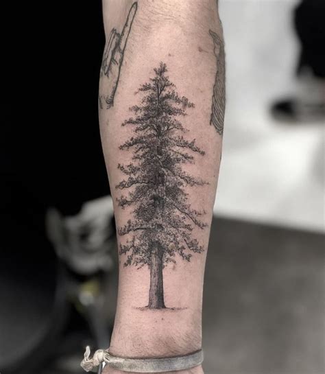 50 Gorgeous And Meaningful Tree Tattoos Inspired By Natures Path