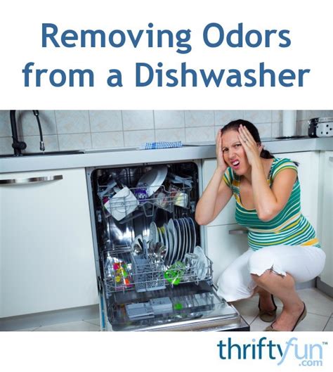 Removing Odors From A Dishwasher Thriftyfun