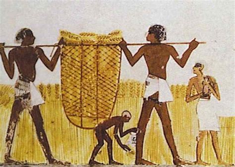 Unbelievable Facts About Ancient Egyptians Scoop Empire