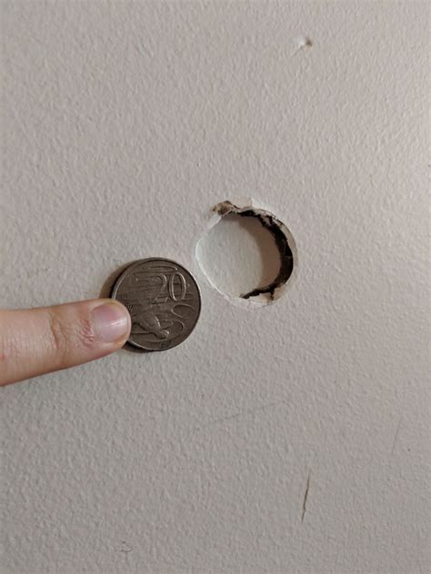 Solved How To Fix A Hole In The Plaster Bunnings Workshop Community