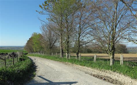 Lane To Chilton Farm © Dylan Moore Cc By Sa20 Geograph Britain And