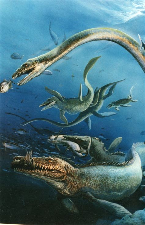 Cretaceous Sea By Unknown Artist Prehistoric Animals