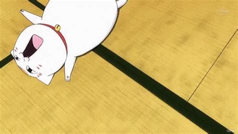 Share 74 Funny Cat Anime Best Vn