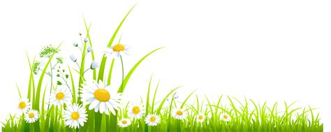 Grass And Flowers Clipart Clipartix Clip Art Library
