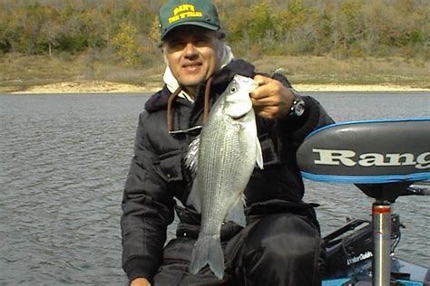 Looking For White Bass On The Illinois River Midwest Outdoors