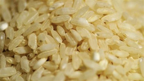 Pros Of Brown Rice And Arsenic A Plant Based Revolution