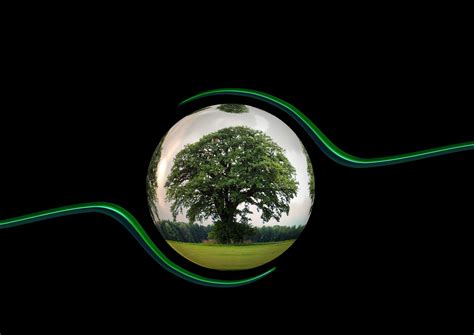 Free Images Tree Light Leaf Environment Green Circle Globe