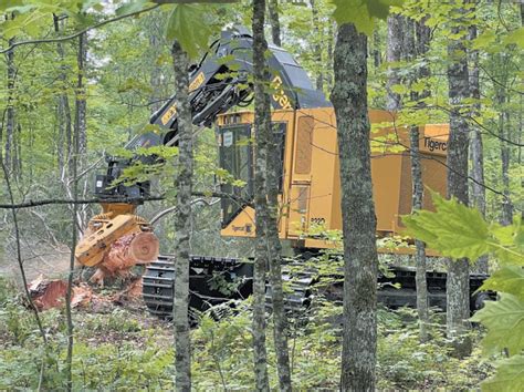 Michigan Loggers Add Tigercat Track Harvester With New Head