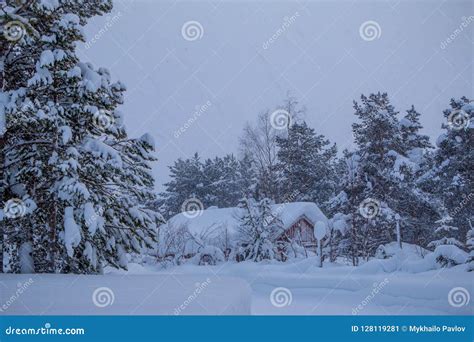 Snowfall Around The Forest House Stock Image Image Of Rural
