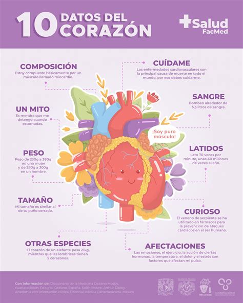 10 Datos Del Corazón Salud Facmed