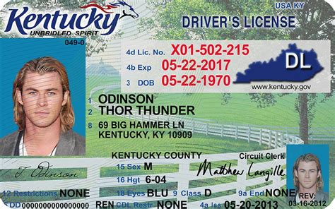 Kentucky Ky Drivers License Id Viking