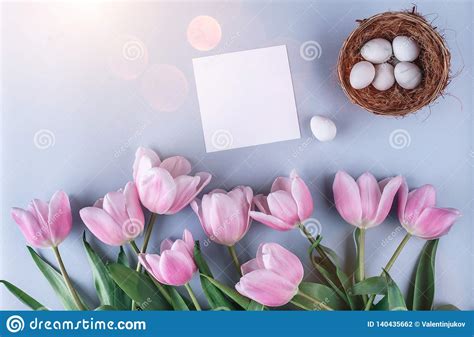 Easter Eggs In Nest And Tulips Flowers On Blue Background With Card