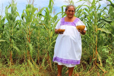 La Mujer Rural Fuerza Y Entusiasmo Del Campo Mexicano Representación