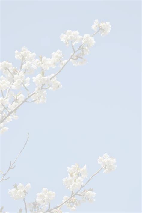 Fondos Aesthetic Hd Blanco