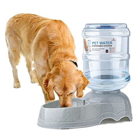 13 Best Automatic Dog Water Dispenser For 2023 Storables