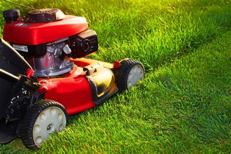 Reasons Why You Should Schedule A Lawn Mowing Service