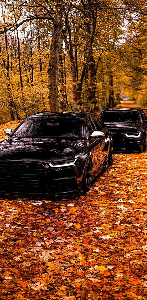 Audi Autumn Wallpaper By Ionutzzz4231 Download On Zedge 94f3