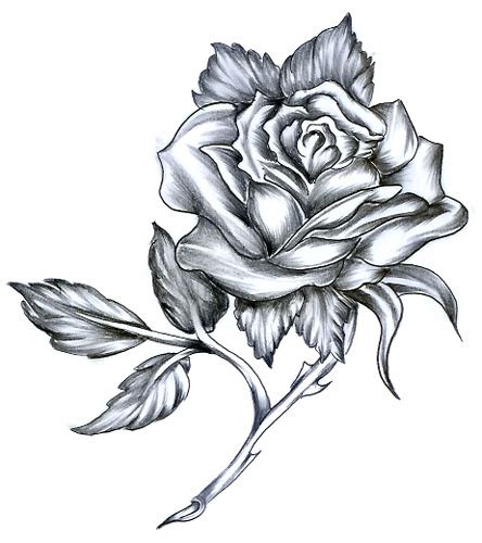 Downloade dieses freie bild zum thema rose schwarz weiss aus pixabays umfangreicher sammlung. nazaraskim: Eiserne rose | Tattoos von Tattoo-Bewertung.de