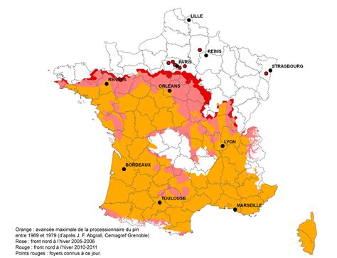 La chenille processionnaire du pin est la larve d'un papillon de nuit, le thaumetopoea pityocampa. Chenilles processionnaires : véritables dangers pour nos ...