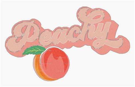 Pink Aesthetic Wallpaper Vintage Retro Peach Aesthetic Canvas Point