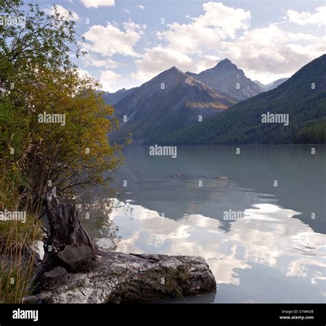 Kucherla Lake Altay Russia Stock Photo Alamy