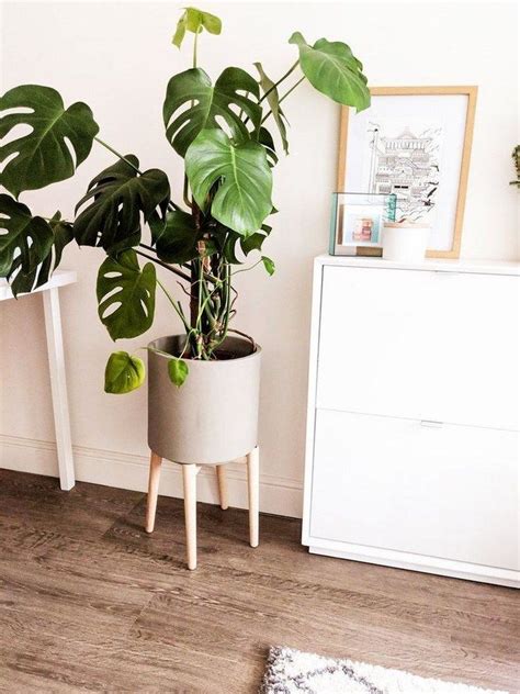 68 Mid Century Modern Planters With Solid Wood Plant