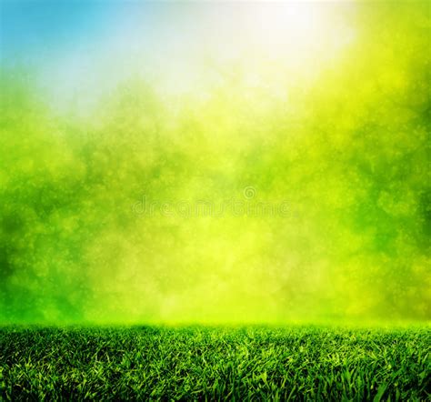 Green Spring Grass Against Natural Nature Blur Stock Photo Image Of