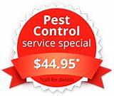 Pest Control Jobs In Dallas T Pictures