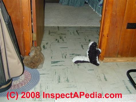 While in this state, they will suffer severe stat penalties, plus the hero has to pass a death blow resistance test if he/she takes any further damage. Odor source track down: How to Find the Source of Pet ...