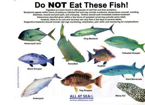 Multiple Sclerosis Ciguatera Fish Poisoning Hubpages
