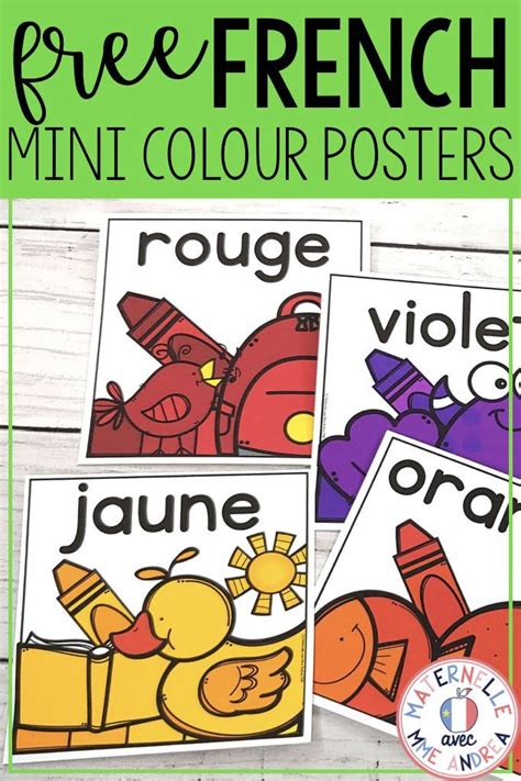 These Free French Mini Posters Will Help Your Students Become Experts