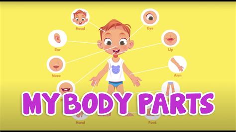 Learn Body Parts Body Parts For Kids Kids Learning Videos Youtube