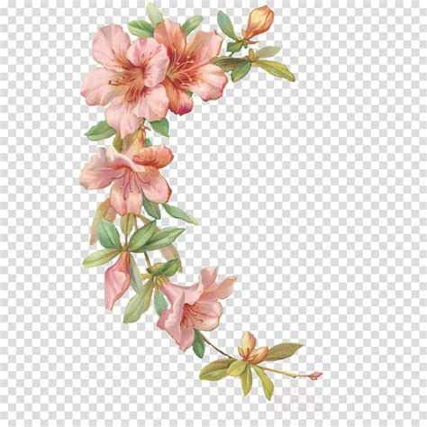 Download Flores Acuarela Png Con Marco Clipart Watercolor Painting PNG png image