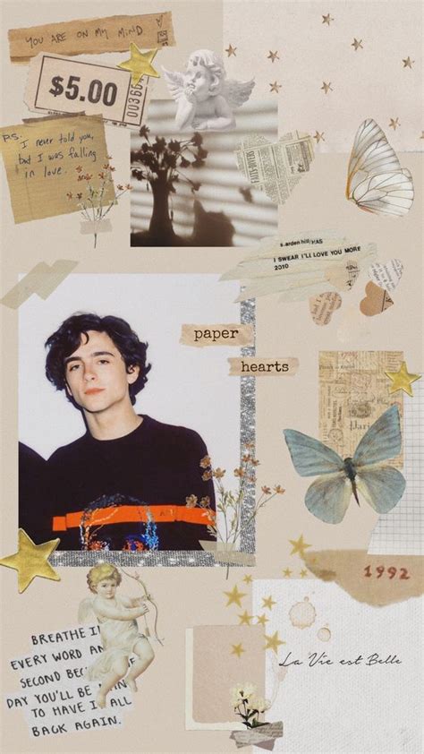 28 Aesthetic And Vintage Timothee Chalamet Iphone