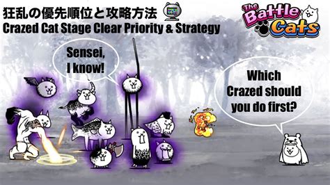Battle Cats Crazed Cats Guide Which Crazed Cat Should I Do First When