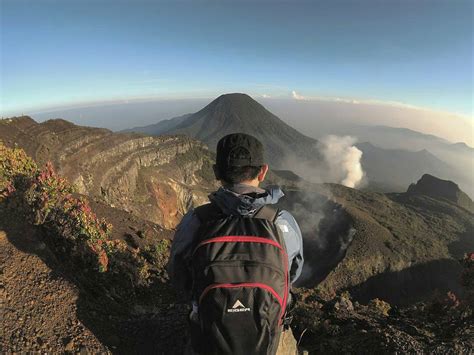 Mount Gede Pangrango 2022 Entrance Ticket Mystery And Hiking Trails