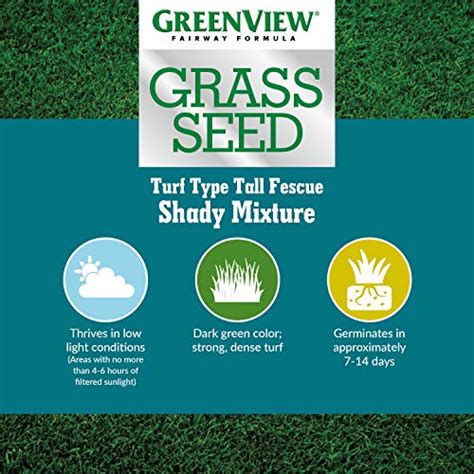 Greenview Fairway Formula Grass Seed Turf Type Tall Fescue Shady