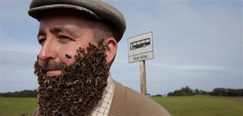 How To Grow A Beard Of Bees
