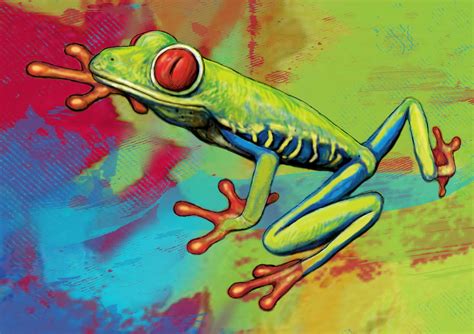 Evisit an animal shelter to do charity work. Rainforest Frog Stylised Pop Art Drawing Portrait Poster Drawing by Kim Wang
