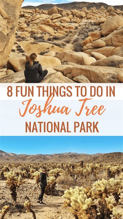 8 Fun Things To Do In Joshua Tree National Park Joshua Tree National