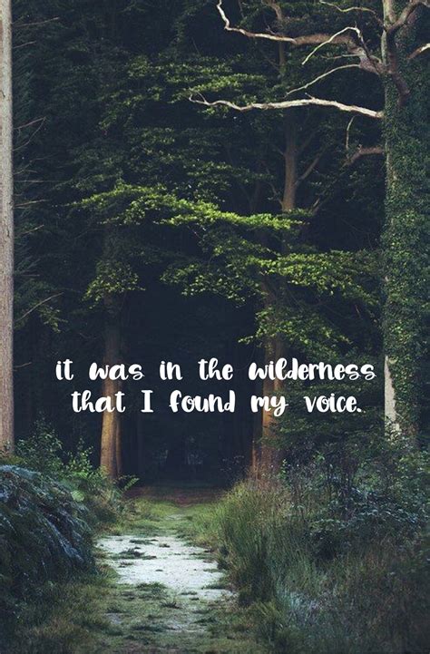 Beautiful Quotes About Nature And Wilderness To Inspire You Zitate My