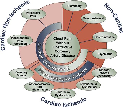 Coronary Microvascular Dysfunction Microvascular Angina And Treatment