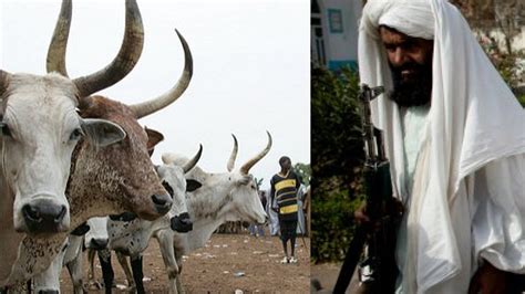 Fulani Herdsmen Leader Shot Dead In Adamawa State Crime Nigeria