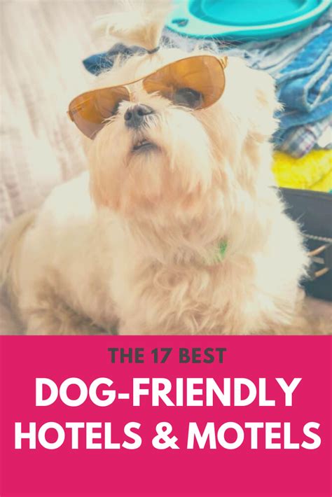 17 Best Dog Friendly Hotel Chains And Motel Spots Where Pets Are Allowed