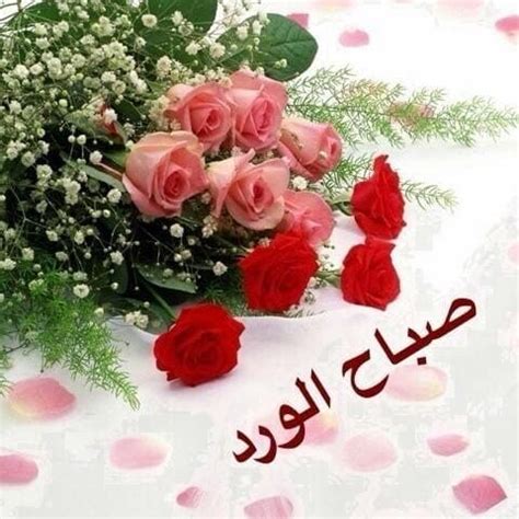 چند صفحه اول بدون شماره بندی چند صفحه بعد شماره چگونه صفحات خود را در یک فایل ورد جداگانه شماره گذاری نماییم؟ ورد صباح الخير , بطاقات صباح الورد - احبك موت