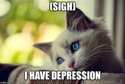 This Cat Has Depression Imgflip