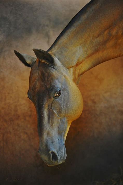 By Artur Baboev Horse Painting Akhal Teke Horse Breeds