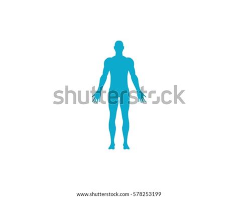 Human Anatomy Man Vector Illustration Stock Vector Royalty Free 578253199