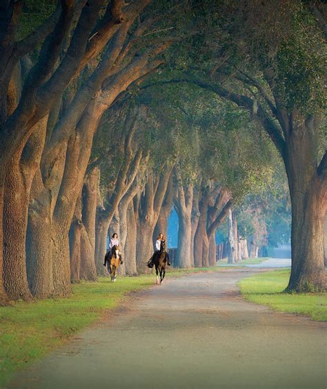 Ocala Magazine December 2022 Digital Issue by ocalamag - Issuu