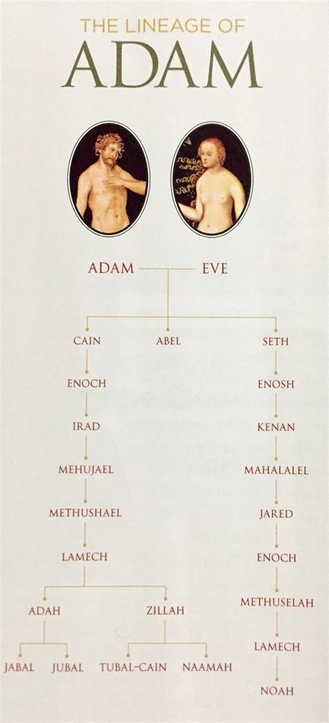 Lineage Of Adam And Eve